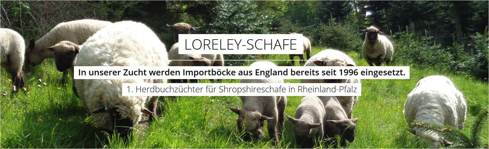 https://www.loreley-schafe.de/
